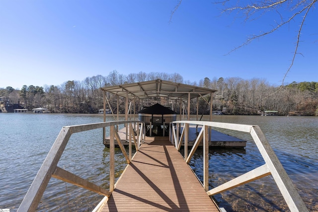 dock area with a water view