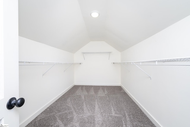 walk in closet featuring vaulted ceiling and carpet