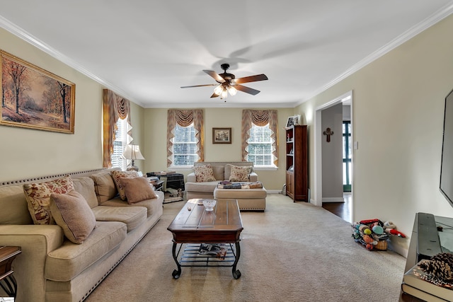 living room featuring crown molding, ceiling fan, and carpet flooring