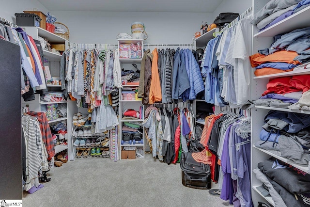 walk in closet with carpet floors