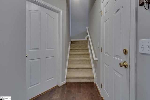 stairway with wood-type flooring