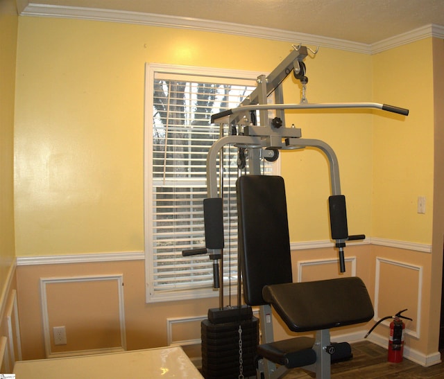 workout area with hardwood / wood-style floors and crown molding