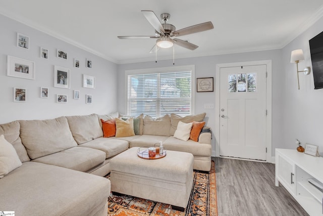 living room featuring ceiling fan, ornamental molding, and wood-type flooring