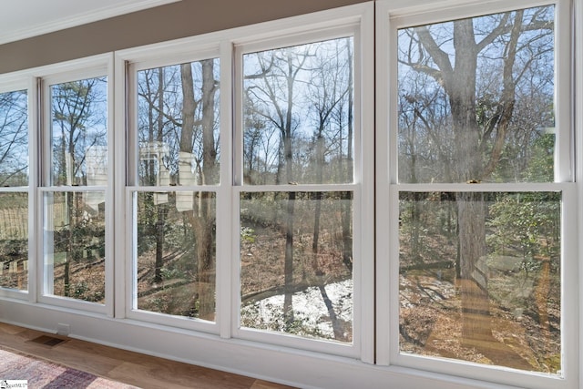 interior space featuring hardwood / wood-style flooring and a healthy amount of sunlight