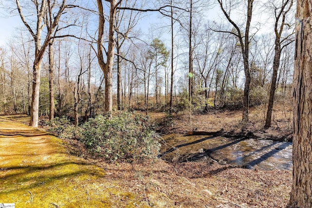 view of local wilderness