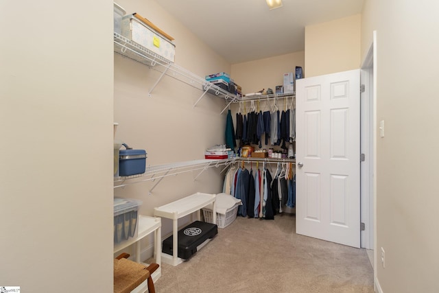 spacious closet featuring light colored carpet