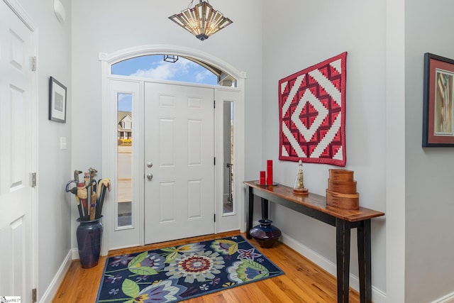 foyer entrance featuring light hardwood / wood-style flooring