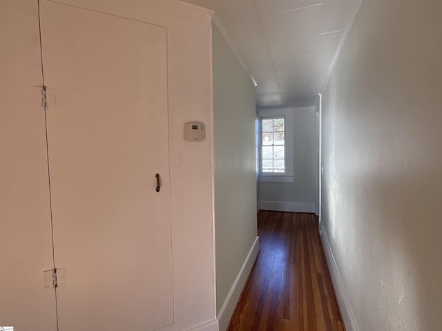 hallway featuring dark hardwood / wood-style flooring