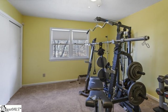 exercise room featuring carpet floors