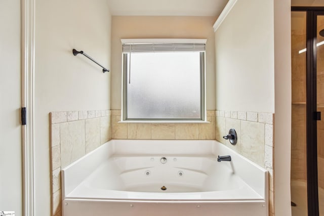 bathroom with shower with separate bathtub