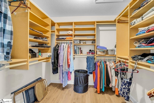 spacious closet with light hardwood / wood-style flooring