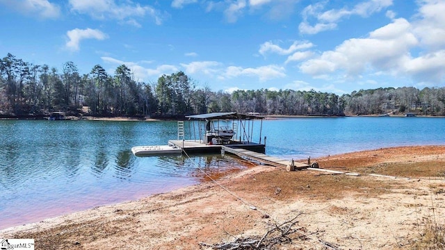 dock area featuring a water view