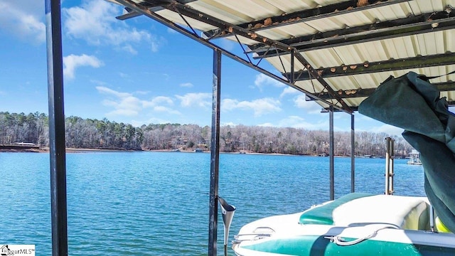 dock area with a water view