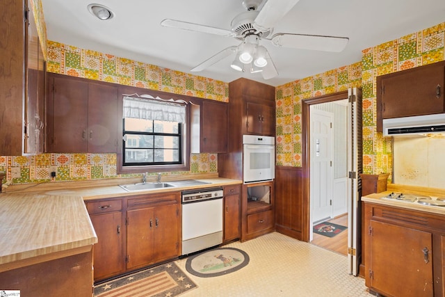 kitchen with ventilation hood, sink, decorative backsplash, ceiling fan, and white appliances