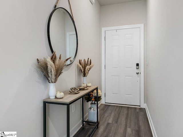 entryway featuring dark wood-type flooring