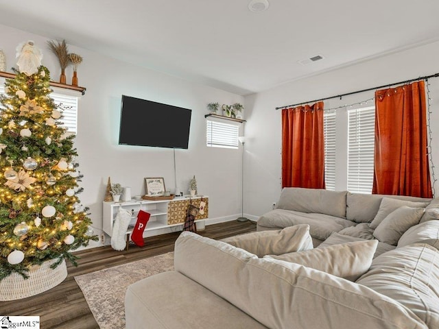 living room with hardwood / wood-style floors