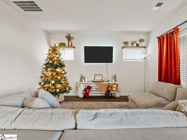 living room featuring wood-type flooring