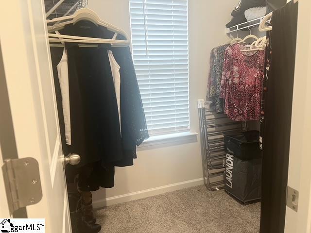 walk in closet featuring carpet