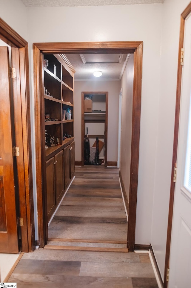 corridor featuring crown molding and wood-type flooring