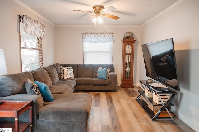 living room featuring crown molding, ceiling fan, and light wood-type flooring