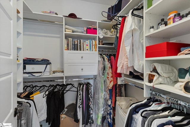 view of spacious closet