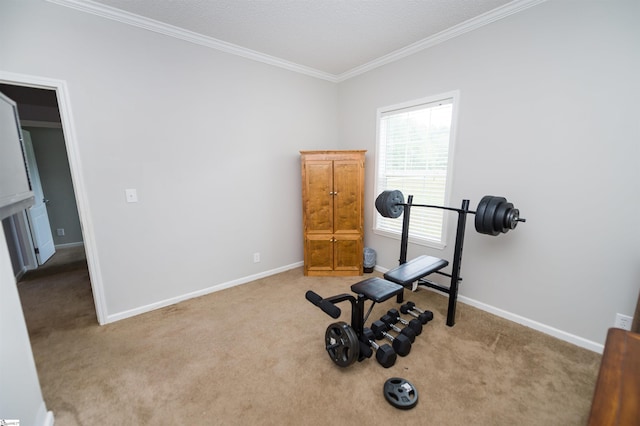 exercise area with ornamental molding and carpet