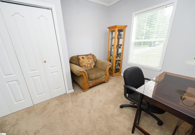 carpeted home office with crown molding