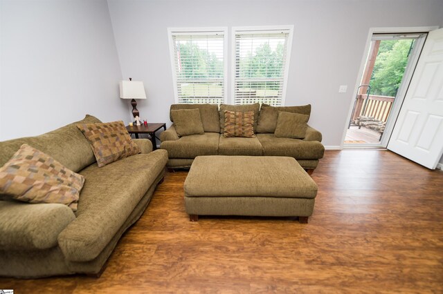 living room featuring dark wood-type flooring