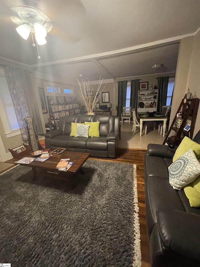 living room with hardwood / wood-style flooring and ceiling fan