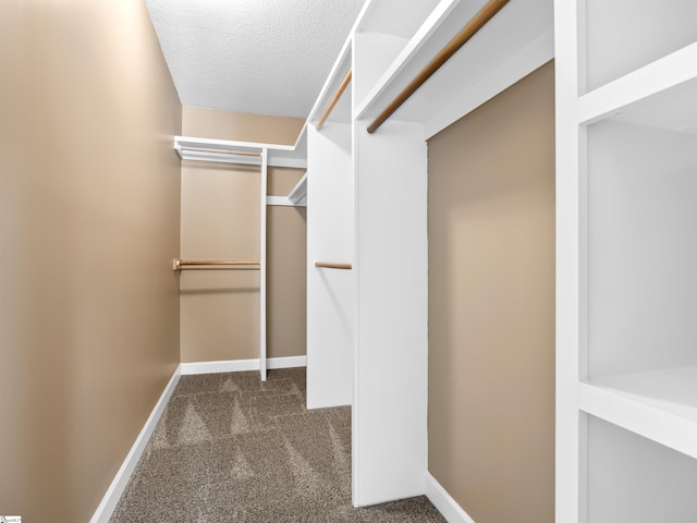 walk in closet with dark carpet