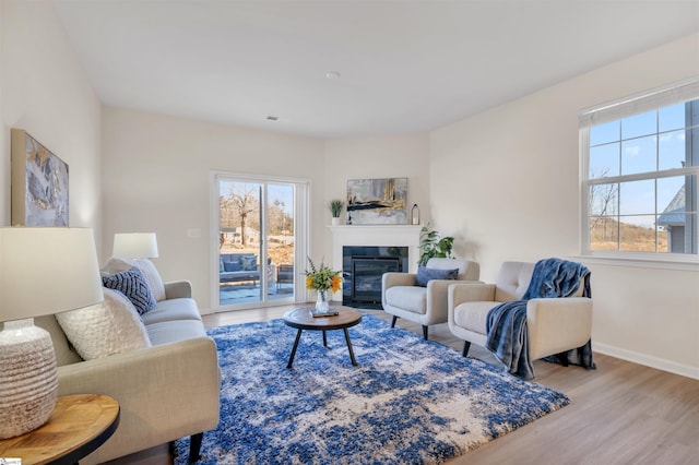 living room with a healthy amount of sunlight and light hardwood / wood-style floors