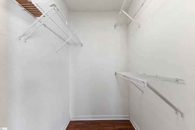 spacious closet with dark hardwood / wood-style floors