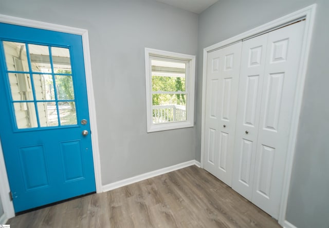 doorway to outside featuring wood-type flooring