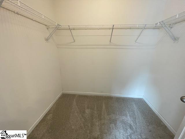 312 Engelmann Ln, Simpsonville, SC 29680 - spacious closet with carpet flooring