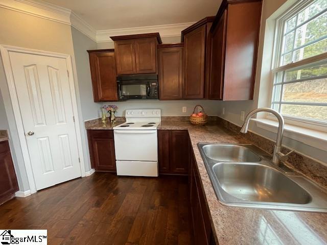312 Engelmann Ln, Simpsonville, SC 29680 - kitchen featuring sink, dark wood-type flooring, ornamental molding, and white electric range oven