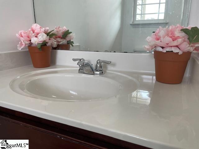 312 Engelmann Ln, Simpsonville, SC 29680 - interior details with vanity
