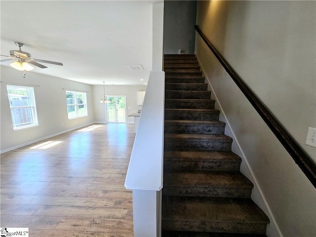 staircase with wood-type flooring and ceiling fan