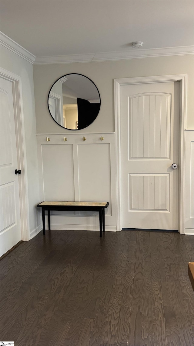 hallway with crown molding and dark hardwood / wood-style flooring