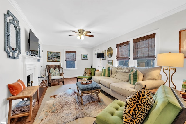 living room featuring crown molding, hardwood / wood-style floors, and ceiling fan