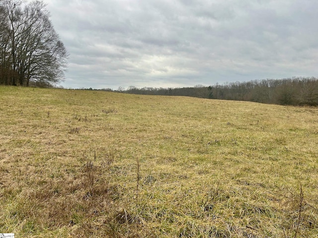 00 Joe Black Rd, Pelzer SC, 29669 land for sale