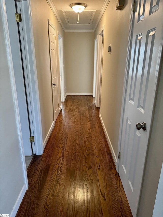 hallway with ornamental molding and dark wood-type flooring