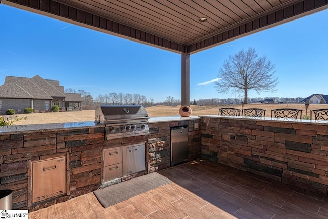 view of patio / terrace with area for grilling and grilling area