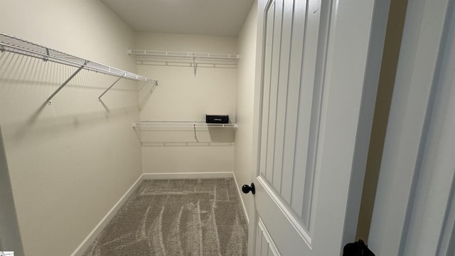 spacious closet with carpet floors