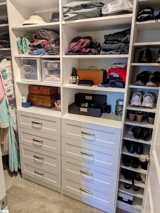 spacious closet featuring light colored carpet