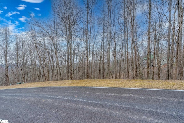 153 Catnip Trl, Landrum SC, 29356 land for sale