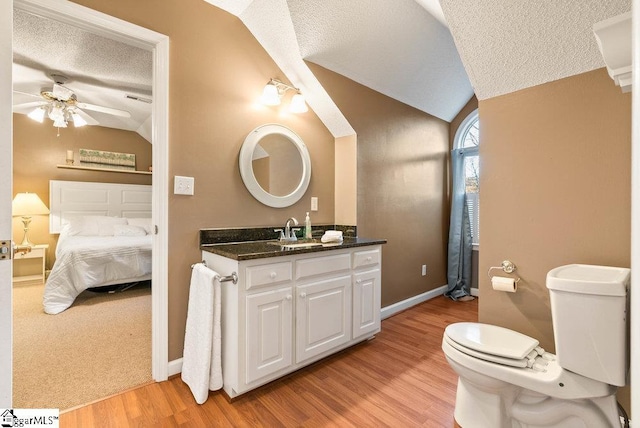 bathroom with vanity, toilet, vaulted ceiling, and a textured ceiling