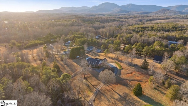 aerial view with a mountain view