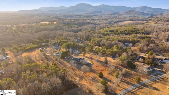 birds eye view of property featuring a mountain view