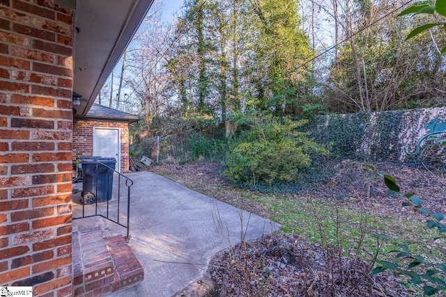 view of yard with a patio area