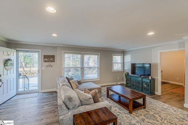 living room featuring ornamental molding and light wood-type flooring